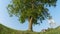 LOW ANGLE: Couple happy young children swinging on a wooden swing on sunny day