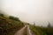 Low-angle of a dirty road leading to a thick mist lit with early golden hour light, Colorado Rockies