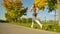 LOW ANGLE: Fit woman goes for a jog around the scenic park on sunny autumn day.