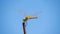 Low angle macro shot of a dragonfly under a clear blue sky