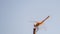 Low angle macro shot of a dragonfly under a clear blue sky