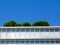 Low angle perspective of modern office building parapet edge with mature trees and bushes over top