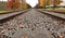Low angle perspective view straight along rail tracks in autumn with leaves on ground