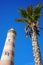 Low-angle photo of the Lighthouse of Praia da Barra next to a palm tree, during the day with a clear blue sky.