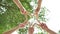 Low angle shot from below of a group of 5 young people place their hands together over sky and trees in the center of a circle.