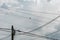 Low angle shot of a bird perched on the wires of a power line with the cloudy sky in the background