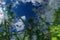 Low angle shot of a growing thistle with its sharp prickles under the cloudy blue sky