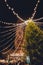 Low angle shot of lights reaching the top of the green tree in front of the tower at night