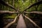 Low Angle Shot of Long Wooden Bridge Over Cataloochee River