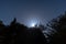 Low angle shot of the moon shining in the blue sky above the silhouettes of trees