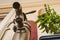 Low angle shot of a potted green plant and antique faucet