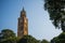 Low-angle shot of the Rajabai clock tower in Mumbai India surrounded by vegetation and a skyscape