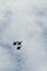 Low angle shot of three fighter jets flying on a gloomy day background