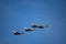 Low angle shot of three military aircraft in the blue clear sky