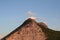 Low angle shot of the top of a hill under the bright sky and a small image of the day moon