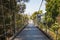 Low Angle of Spruce Street Suspension Bridge in San Diego