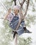 Low angle view of a boy sitting on a tree