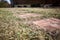 Low angle view of brick paving in grass