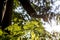 Low angle view of businessman holding his hand over a young green fern