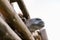 low angle view of camel muzzle near wooden fence