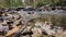 Low angle view of Cheaha Creek with autumn leaves in foreground