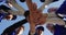 Low angle view of diverse group of female baseball players making hand stack against blue sky