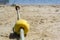 Low angle view of floating rope on the beach