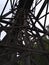 Low angle view of impressive historic railroad bridge Kinsol Trestle made of wooden planks located on Vancouver Island, Canada.