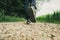 Low angle view of a male legs in hiking boots walking on a gravel country road