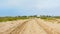 Low angle view on a Sand road in a hazy heath landscape in Flanders