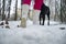 Low angle view of a sole of female snow boots walking in snow covered winter forest