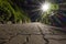 A low angle view of stone block paved street and a lay of light from streetlamp, with trees in the night