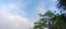 Low Angle View of Trees Against Sky