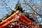 Low angle view of vibrant cherry blossoms  Sakura blooming by a traditional Japanese architecture with red wooden eaves & green