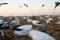 Low angle view of water fowl decoys