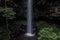 Low angle view of waterfall in the rainforest