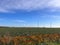 Low angle of wind turbines in a scenic flower field with the blue bright sky in the background