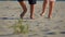 Low-angled shooting of legs of achildren walking on the beach to the camera