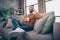 Low below angle view portrait of his he nice attractive cheerful cheery bearded guy sitting on divan drinking latte