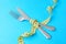 Low calorie diet for weight loss. Fork and knife are wrapped in yellow measuring tape on blue