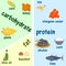 Low carbohydrate diet diagram. Macronutrient ratio poster. Fat loss concept. Colourful vector illustration isolated on a light