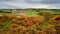 Low Cleughs Bastle looks over Redesdale