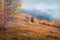 Low cloud overcast. Misty autumn view of Carpathian mountains.