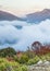 Low clouds and autumn colors in the catalan highlands