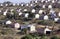 Low Cost Township Houses in Durban South Africa