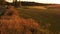 Low fly over reeds and golf field with short grass.