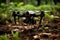 Low-flying unmanned drone demonstrates incredible precision and agility in aerial surveillance