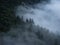 Low hanging clouds foggy green forest treetop misty mood nature landscape at lake Konigssee Bavaria Germany