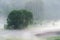 Low hanging mist around trees over grass on early foggy morning in the fields. Mysterious atmosphere in nature landscape