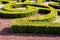 Low hedges of box tree pruned in geometric shapes in a french formal garden